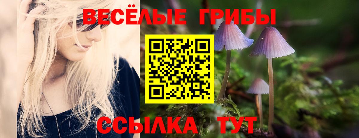 Галлюциногенные грибы MAGIC MUSHROOMS  Галлюциногенные грибы MAGIC MUSHROOMS  наркотики  Борзя  Вход с VPN 